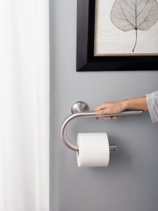 BRSafety1_moen-grab-bar-with-toilet-paper1